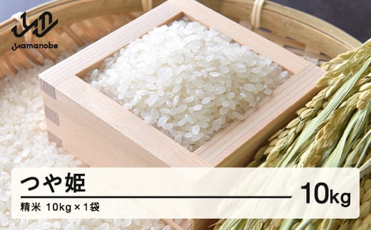 山形県産 つや姫 精米 10kg F20A-166 239884 - 山形県山辺町