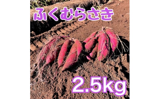 [№5904-0606]【ふるさと納税】ふくむらさき2.5kg　サツマイモ さつまいも 芋 千葉県 成田市