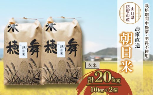 栽培期間中農薬・肥料不使用で作った朝日米　玄米20kg_ 米 朝日米 こめ お米 おこめ コメ 玄米 げんまい 10kg×2個 計20kg ごはん ご飯 おにぎり 農薬不使用 肥料不使用 産地直送 産直 山口県 防府市 贈答 ギフト プレゼント 送料無料 【1385882】 657006 - 山口県防府市