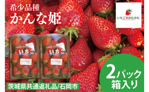 【数量限定】【離島配送不可】かんな姫 2パック/箱【茨城県共通返礼品/石岡市】【いちご イチゴ 苺 果物 くだもの  フルーツ 茨城県オリジナル品種 茨城県】（LX-3）