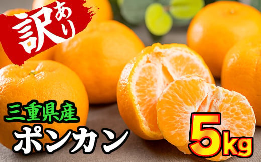 【訳あり】三重県産　ポンカン 5kg【出荷目安：１月中旬〜２月中旬】 限定300セット II-60