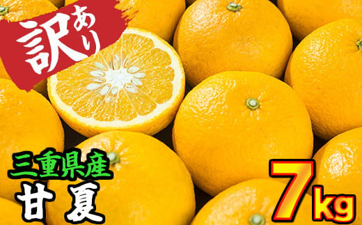 【訳あり】三重県産　サンフルーツ（甘夏） 7kg【出荷目安：３月中旬〜４月下旬】 II-71