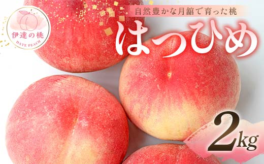 自然豊かな月舘で育った桃 はつひめ2kg（6～10玉） 桃 もも モモ 果物 くだもの フルーツ 名産品 国産 食品 F21C-048 1996745 - 福島県伊達市