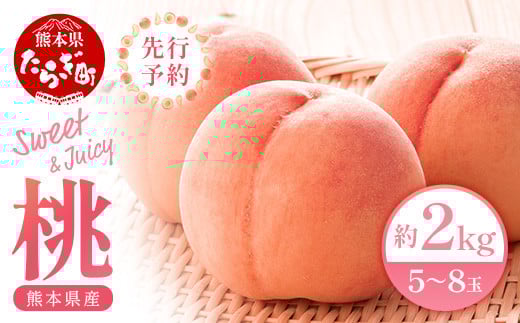  【先行予約】 桃 (5～8玉) 約 2kg 「厳選した桃をお届けします！」 2025年6月下旬～順次発送《 先行予約 受付 桃 もも ピーチ 熊本県 球磨 産 果物 フルーツ 甘い ジューシー 》 087-0656