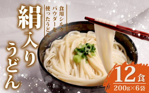 絹入りうどん 約12食 200g ×6袋 シルクパウダー シルクのうどん うどん 麺 麺類 乾麺 シルク 絹 ふるさと納税うどん 人気 おすすめ 京都 丹後 与謝野 加悦