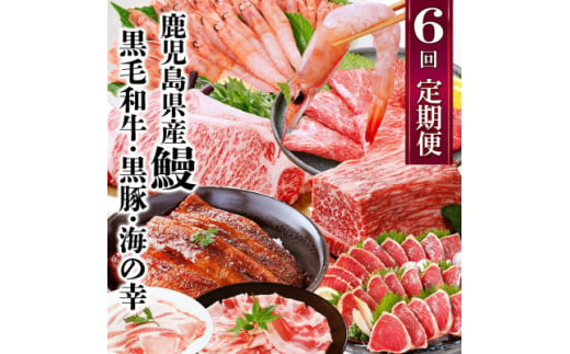 定期便(6回配送)　鹿児島県産うなぎ・黒毛和牛・黒豚・海の幸　HH5-0001【1584184】 1954294 - 鹿児島県枕崎市