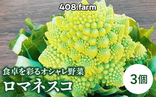 食卓を彩るオシャレ野菜・ロマネスコ（3個） ※2025年1月中旬頃～2月中旬頃に順次発送予定