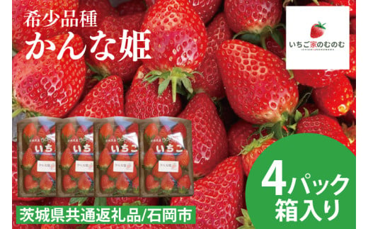 【数量限定】【離島配送不可】かんな姫 4パック/箱【茨城県共通返礼品/石岡市】【いちご イチゴ 苺 果物 くだもの  フルーツ 茨城県オリジナル品種 茨城県】（LX-4）