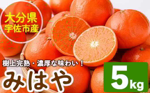 ＜先行予約受付中！2026年1月中旬から2月中旬の間に順次発送予定＞みはや(約5kg)ハウス 樹成 完熟みかん 蜜柑 柑橘 かんきつ フルーツ 果物 くだもの【111600100】【永木農園】 288054 - 大分県宇佐市