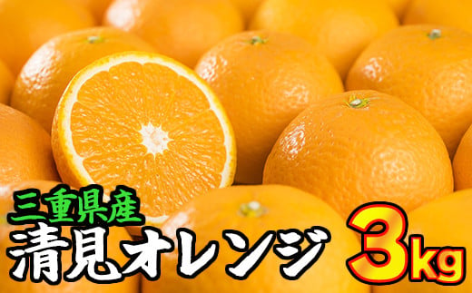 三重県産　清見オレンジ（きよみ） 3kg【出荷目安：３月中旬〜５月上旬】限定200セット限定　II-65