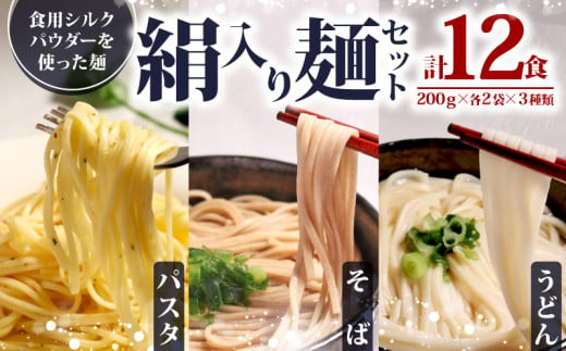 絹入り麺セット ( うどん そば  パスタ ) 約12食 計6袋 （各200g×2袋） シルクパウダー シルクの麺 蕎麦 スパゲティ スパゲッティ 麺セット セット 麺 麺類 乾麺セット 乾麺シルク 絹 ふるさと納税うどん ふるさと納税そば ふるさと納税パスタ 人気 おすすめ 京都 丹後 与謝野 加悦