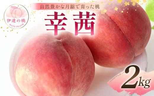 自然豊かな月舘で育った桃 幸茜2kg（6～8玉） 桃 もも モモ 果物 くだもの フルーツ 名産品 国産 食品 F21C-060 1996757 - 福島県伊達市