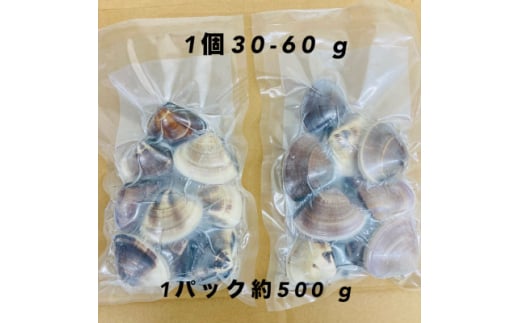 千葉県産 液体冷凍(-35度) はまぐり 1個30-60g/60-90g 各2パック(合計約2kg)【1586943】