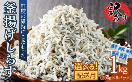 釜揚げ しらす(訳あり)1.0kg(200g×5P) 【シラス しらす丼 国産 無添加 冷凍 小分け 個包装 香川県 さぬき市】