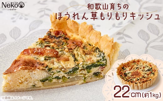 和歌山育ちのほうれん草もりもりキッシュ【1483746】 1328244 - 和歌山県橋本市