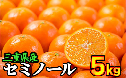 三重県産　セミノールオレンジ 5kg【出荷目安：３月下旬〜４月下旬】限定200セット　II-63 347358 - 三重県尾鷲市