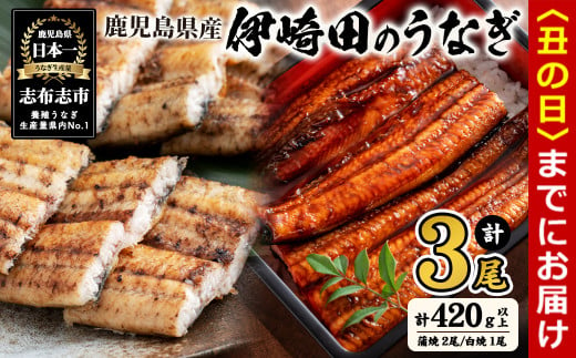 【丑の日までに配送】【数量限定】鹿児島県産 伊崎田のうなぎ蒲焼き2尾＆白焼き1尾セット 計3尾(計420g以上) 鰻 うなぎ ウナギ 蒲焼き 白焼き 3尾 国産 九州産 鹿児島県産 冷凍 おつまみ 鰻重 うな丼 セット b1-021-us