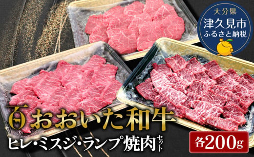 【先行予約】おおいた和牛 ヒレ・ミスジ・ランプ焼肉セット 牛肉 和牛 ブランド牛 黒毛和牛 赤身肉 焼き肉 焼肉 バーベキュー 大分県産 九州産 津久見市 熨斗対応　2025年2月上旬より発送