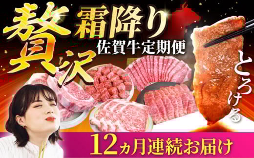 【牧場直送】【12回定期便】佐賀牛 贅沢 霜降り 定期便【有限会社セントラル牧場】 牛肉 お肉 肉 霜降り 国産 [IAH088] 282606 - 佐賀県白石町