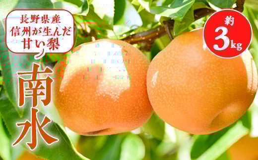 2025年!本当に甘い梨です!信州が生んだ甘い＜南水＞約3キロセット!_ 梨 なし 南水 果物 フルーツ くだもの 贈答 ギフト プレゼント 信州 長野 送料無料 人気 産地直送 おすすめ 旬 甘い 【1475150】 1627332 - 長野県南箕輪村