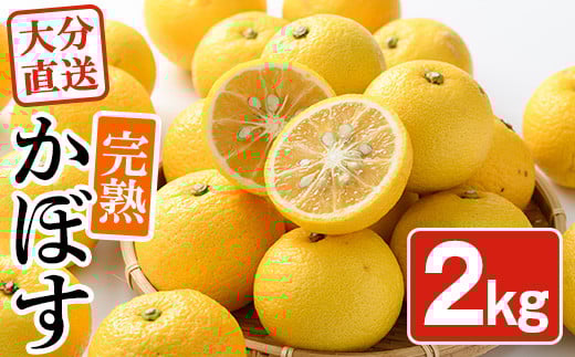 [先行予約受付中!2025年11月中旬より順次発送予定]完熟かぼす(約2kg)かんきつ 柑橘 期間限定 おもとの丘[111300300][未来農林]