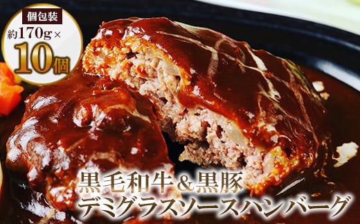 黒毛和牛&黒豚デミグラスソースハンバーグ10個セット【1545971】 400147 - 福岡県大牟田市