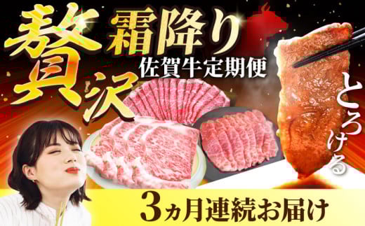 【牧場直送】【3回定期便】佐賀牛 贅沢 霜降り 定期便【有限会社セントラル牧場】 牛肉 お肉 肉 霜降り 国産 [IAH086] 282604 - 佐賀県白石町