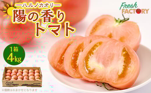 『陽の香り』トマト4kg箱満杯詰め　長野の自然が育てた恵　(個数おまかせ)【1342500】 1325389 - 長野県中野市
