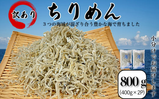 訳あり ちりめん 800g ( 400g × 2袋 ) 国産 しらす ちりめんじゃこ 小分け 魚 魚介 小魚 ごはん 丼 サラダ チャーハン 焼き飯 パスタ うどん トースト ピザ おにぎりお弁当  栄養満点 カルシウム 米 プレゼント 贈答 【北海道、沖縄、離島配送不可】 