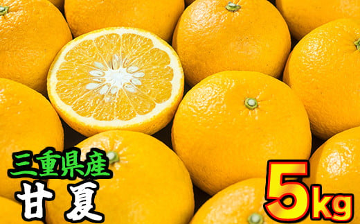 三重県産　サンフルーツ（甘夏） 5kg【出荷目安：３月中旬〜４月下旬】　II-70