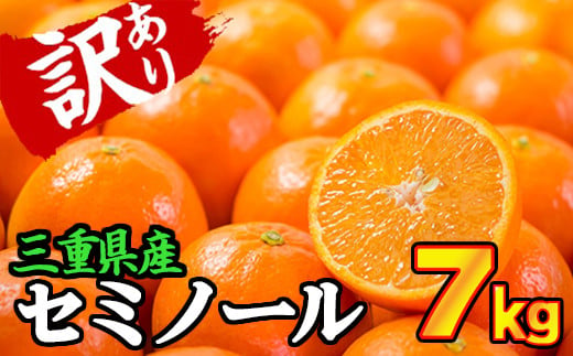 【訳あり】三重県産　セミノールオレンジ 7kg【出荷目安：３月下旬〜４月下旬】 限定300セット  II-64