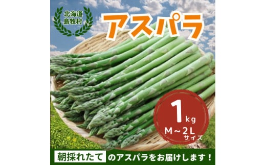 2025年5月中旬より順次発送 朝採りアスパラ＜1kg＞M-2L 北海道 露地栽培【1587134】