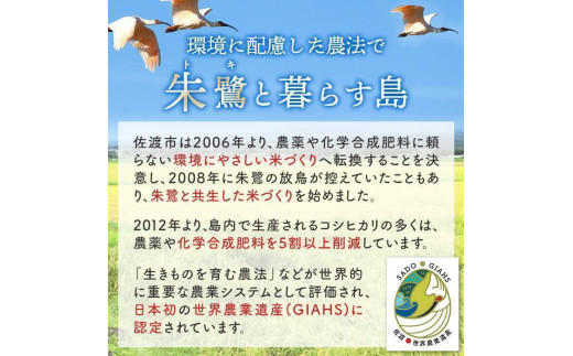 新潟県佐渡市のふるさと納税 佐渡産ブレンド米 佐渡のめぐみ （10kg）