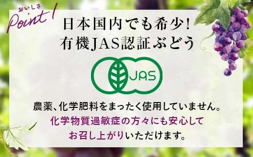 山口県山陽小野田市のふるさと納税 【先行予約・8月下旬以降順次発送】 【農薬・化学肥料不使用】ぶどうの粒 無選別（200g) フルーツ ぶどう 葡萄 ブドウ ピオーネ 有機 無農薬 山口県 山陽小野田市 ふるさと納税 F6L-1080