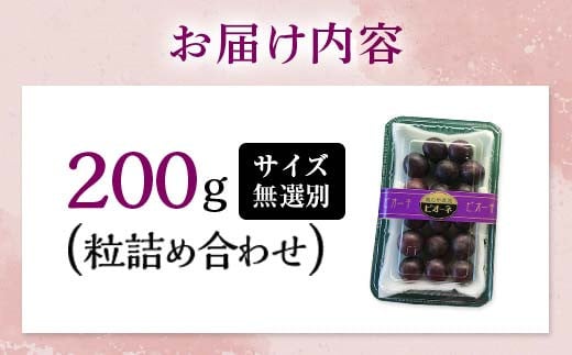 山口県山陽小野田市のふるさと納税 【先行予約・8月下旬以降順次発送】 【農薬・化学肥料不使用】ぶどうの粒 無選別（200g) フルーツ ぶどう 葡萄 ブドウ ピオーネ 有機 無農薬 山口県 山陽小野田市 ふるさと納税 F6L-1080