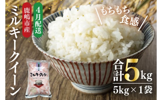 【令和6年産】★4月お届け★鹿嶋市産ミルキークイーン(5kg×1袋)【お米 米 鹿嶋市 茨城県 白米 新米 おにぎり ごはん 15000円以内 】(KBS-8-4）