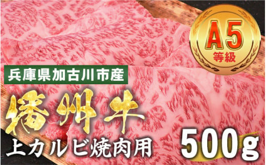 加古川市産  黒毛和牛(播州牛) 上カルビ焼肉用 500g