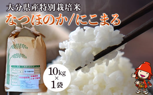 令和6年産 特別栽培米 なつほのか にこまる 10kg×1袋 宗像農園 大分県中津市三光産 栽培期間中 農薬不使用 精米 玄米 選べる 国産 お米 米 ご飯 白米 農家直送 大分県産 九州産 中津市