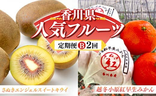 【人気フルーツ定期便B 2回】さぬきエンジェルスイートキウイ 約1kg 越冬小原紅早生みかん 約1.5kg キウイ みかん 旬 フルーツ 果物 国産 香川県 F5J-883 1972559 - 香川県琴平町