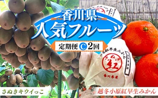 【人気フルーツ定期便C 2回】さぬきキウイっこ 約1kg 越冬小原紅早生みかん 約1.5kg キウイ みかん 旬 フルーツ 果物 国産 香川県 F5J-884 1972560 - 香川県琴平町