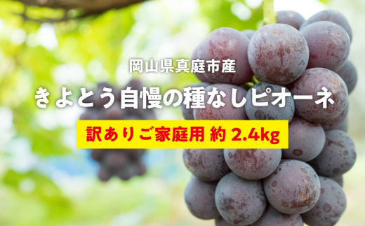 KF-B074-01【きよとうファーム】訳あり 種なしピオーネ 約2.4kg (岡山県産) 1471609 - 岡山県真庭市