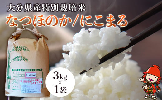 令和6年産 特別栽培米 なつほのか にこまる 3kg×1袋 宗像農園 大分県中津市三光産 栽培期間中 農薬不使用 精米 玄米 選べる 国産 お米 米 ご飯 白米 農家直送 大分県産 九州産 中津市