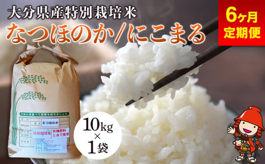 【6ヶ月定期便】令和6年産 特別栽培米 なつほのか にこまる 10kg×1袋 (毎月1回) 宗像農園 大分県中津市三光産 栽培期間中 農薬不使用 精米 玄米 選べる 国産 お米 米 ご飯 白米 農家直送 大分県産 九州産 中津市