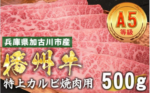 加古川市産  黒毛和牛(播州牛) 特上カルビ焼肉用 500g