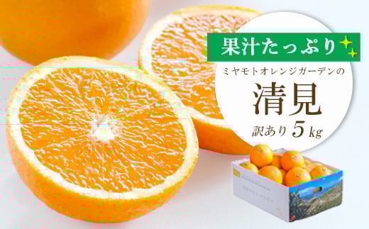 ＜2025年4月上旬出荷＞果汁たっぷり ジューシー清見5kg(訳あり)＜C25-138＞_ 清見 きよみ 柑橘 かんきつ オレンジ みかん フルーツ 果物 くだもの ふるーつ 産地直送 国産 送料無料 限定 甘い ジューシー 果汁 【1138006】 1042460 - 愛媛県八幡浜市