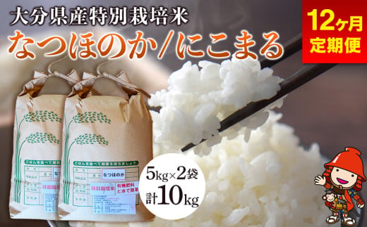 【12ヶ月定期便】令和6年産 特別栽培米 なつほのか にこまる 5kg×2袋 合計10kg (毎月1回) 宗像農園 大分県中津市三光産 栽培期間中 農薬不使用 精米 玄米 選べる 国産 お米 米 ご飯 白米 農家直送 大分県産 九州産 中津市