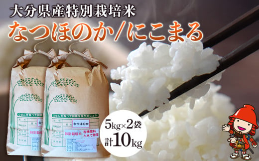 令和6年産 特別栽培米 なつほのか にこまる 5kg×2袋 計10kg 宗像農園 大分県中津市三光産 栽培期間中 農薬不使用 精米 玄米 選べる 国産 お米 米 ご飯 白米 農家直送 大分県産 九州産 中津市