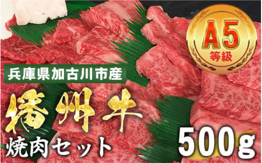 加古川市産  黒毛和牛(播州牛) 焼肉セット 500g