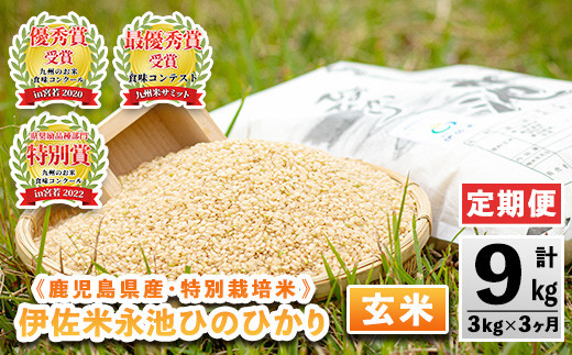 isa536 [定期便]令和6年産 特別栽培米 永池ひのひかり玄米(計9kg・3kg×3ヶ月) 鹿児島 永池 お米 米 玄米 伊佐米 九州米サミット 食味コンテスト 最優秀賞受賞 ヒノヒカリ[エコファーム永池]