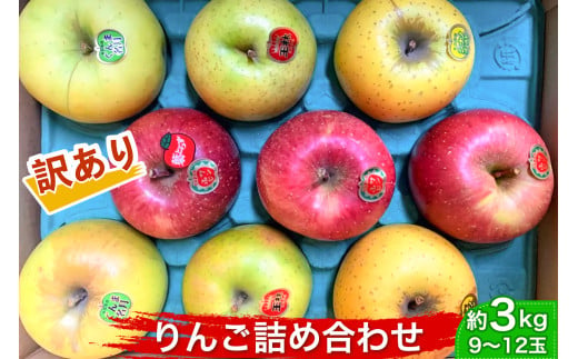 [訳あり] りんご詰め合わせ [約3kg／9～12玉] 木村農産 (家庭用)｜青森県産 つがる リンゴ 林檎 果物 フルーツ 令和6年産 2024年産 訳アリ わけあり [0789]